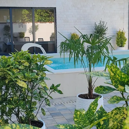 Daire Pool - Lux 1 Vrdnik